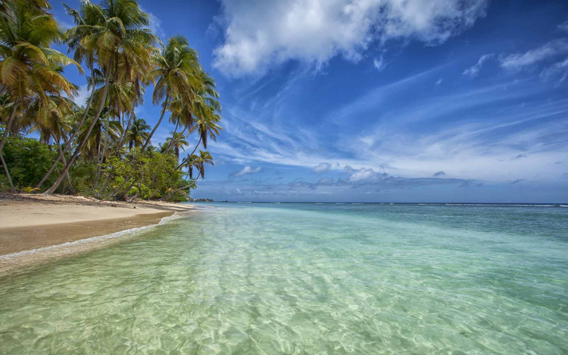 Pigeon Point Tobago